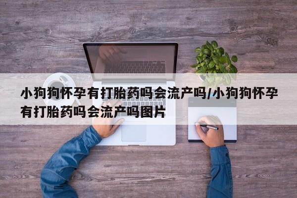 米非司酮片在线购微信小狗狗怀孕有打胎药吗会流产吗/小狗狗怀孕有打胎药吗会流产吗图片