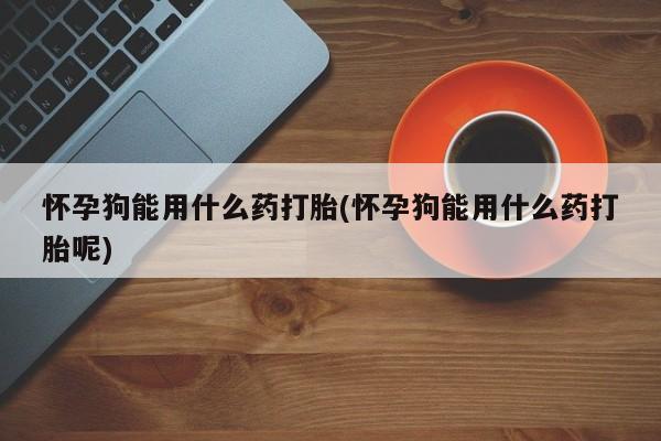 米非司酮片在线购微信怀孕狗能用什么药打胎(怀孕狗能用什么药打胎呢)